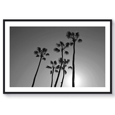 Santa Monica II