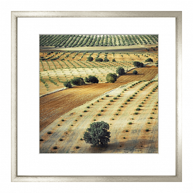 Tuscan Dots