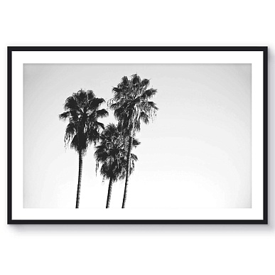 Venice Beach IV