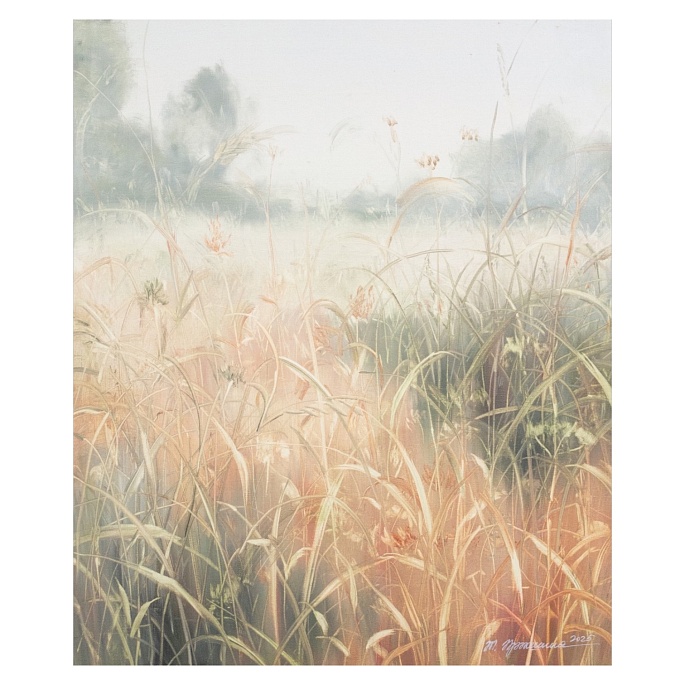 идём домой / let's go home