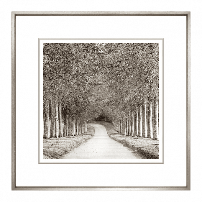 Sepia Landscape Collection II