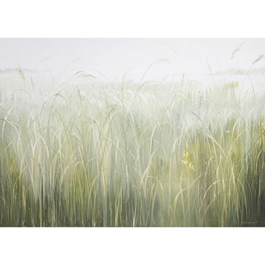 травы / herbs 251007