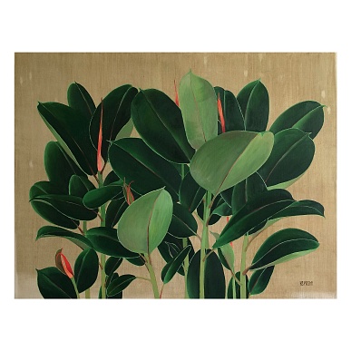 Ficus