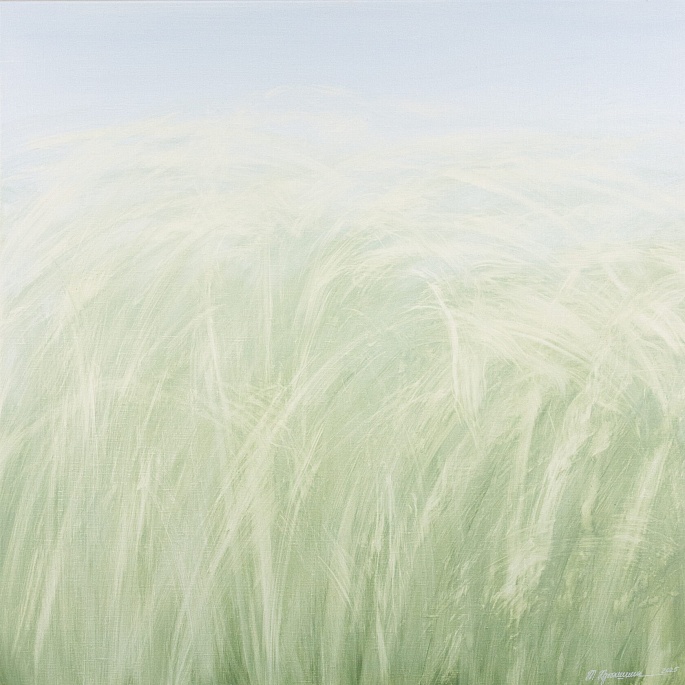 линии света / lines of light