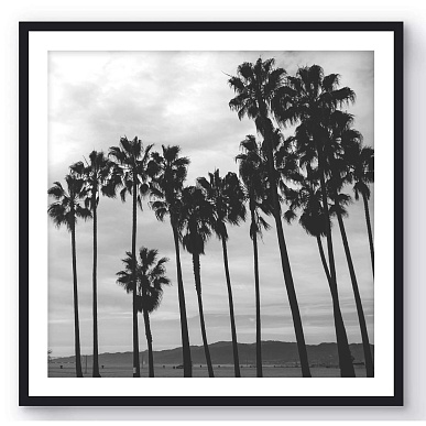Californication