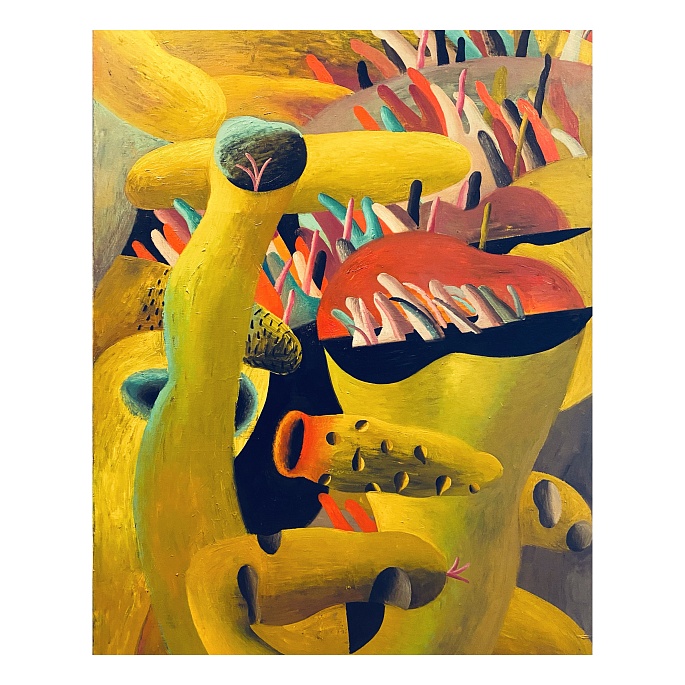 Морские огурцы