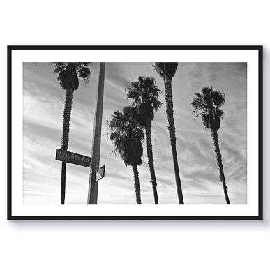 Venice Beach V