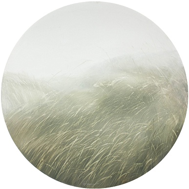 травы / herbs №251010