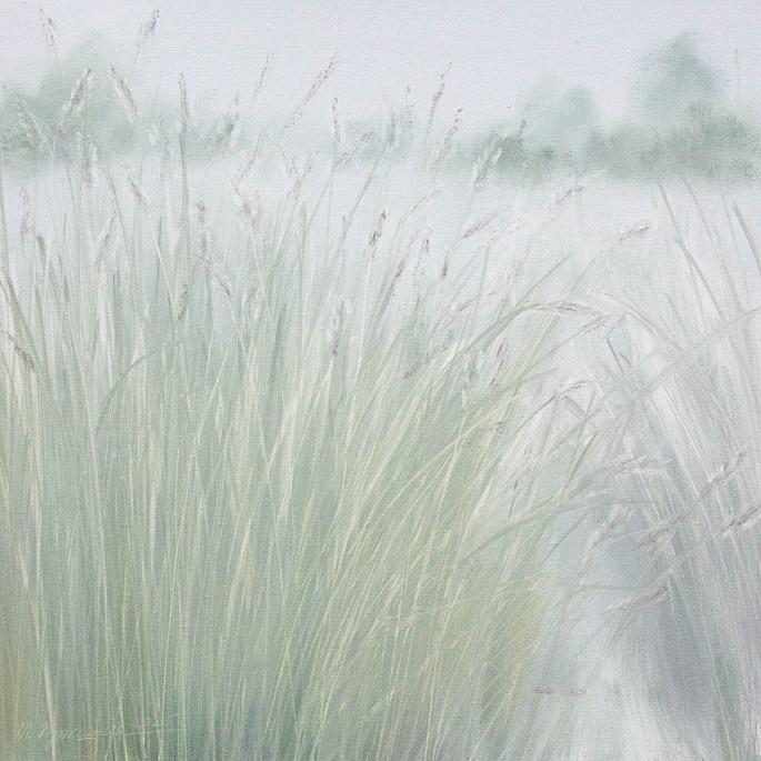 колоски / spikelets