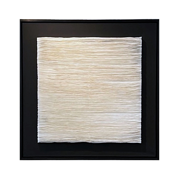 HYMENOPHORE (squared release)