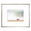 The Deer. Minimalist Photography Collection