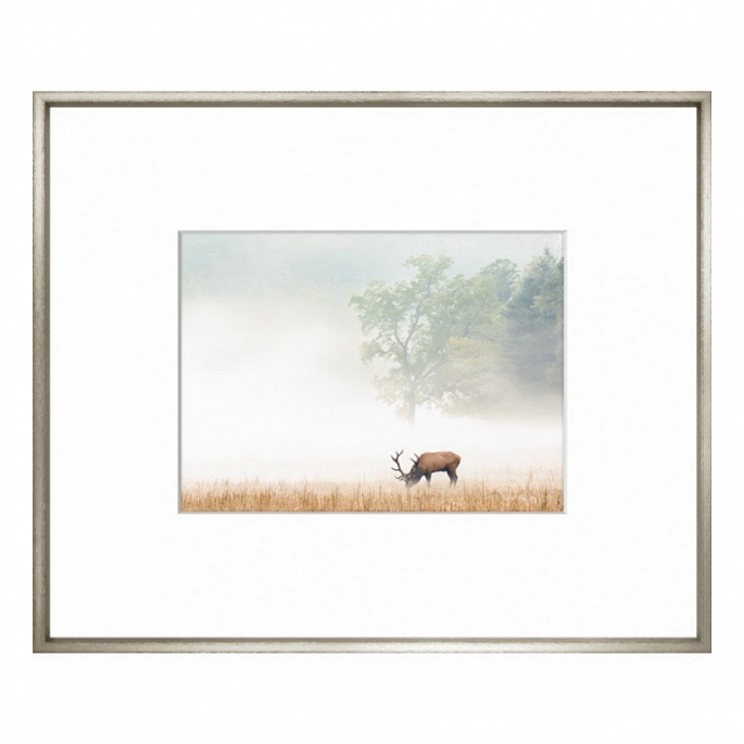 The Deer. Minimalist Photography Collection