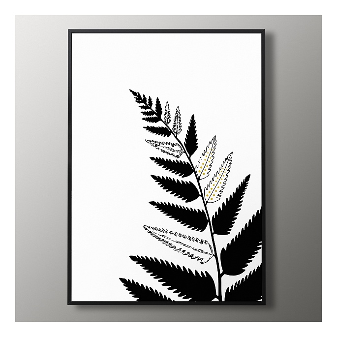 Папоротник