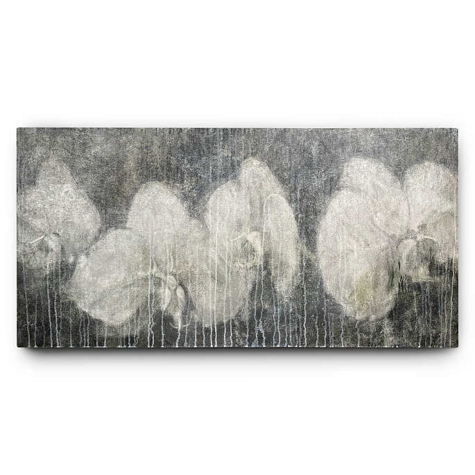 Фаленопсис