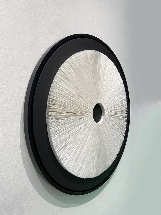 Гименофор 104