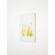 etude w.130227