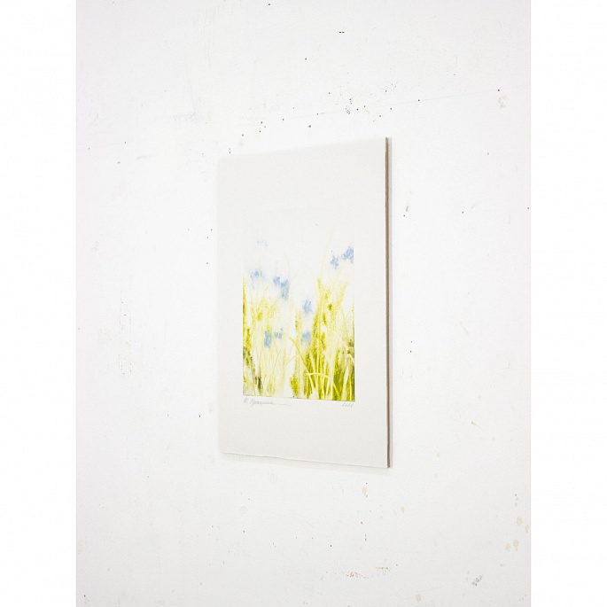etude w.130227