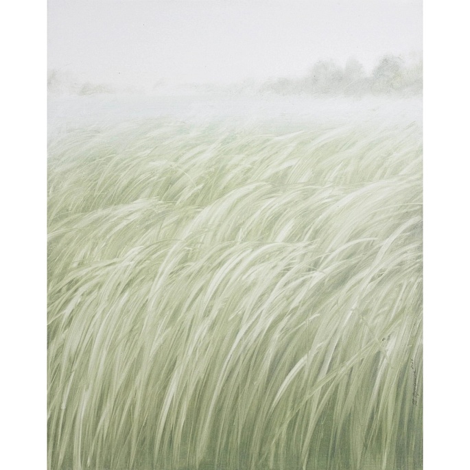 травы / herbs 250923-02