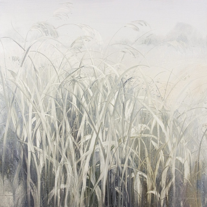 высокие травы / tall grasses