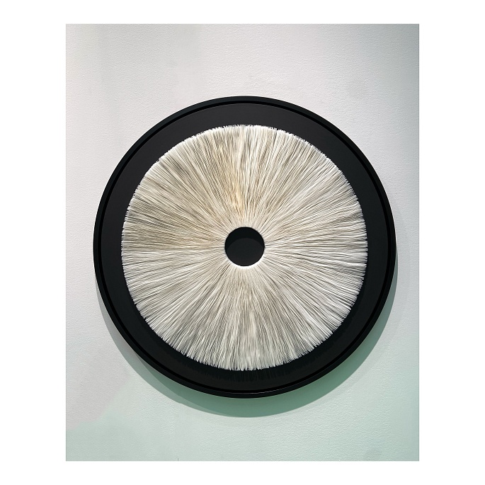 Гименофор 104