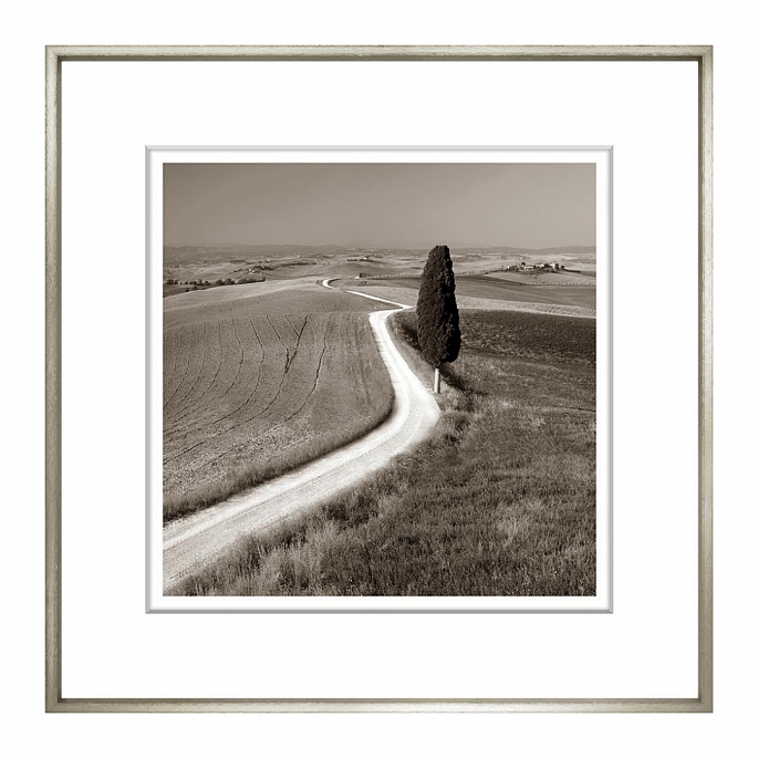 Sepia Landscape Collection I