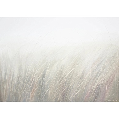 беззвучно / mute