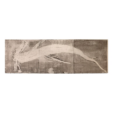 Sphyrna mokarran
