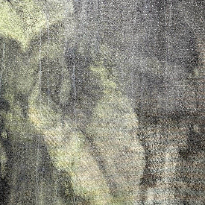 Филодендрон