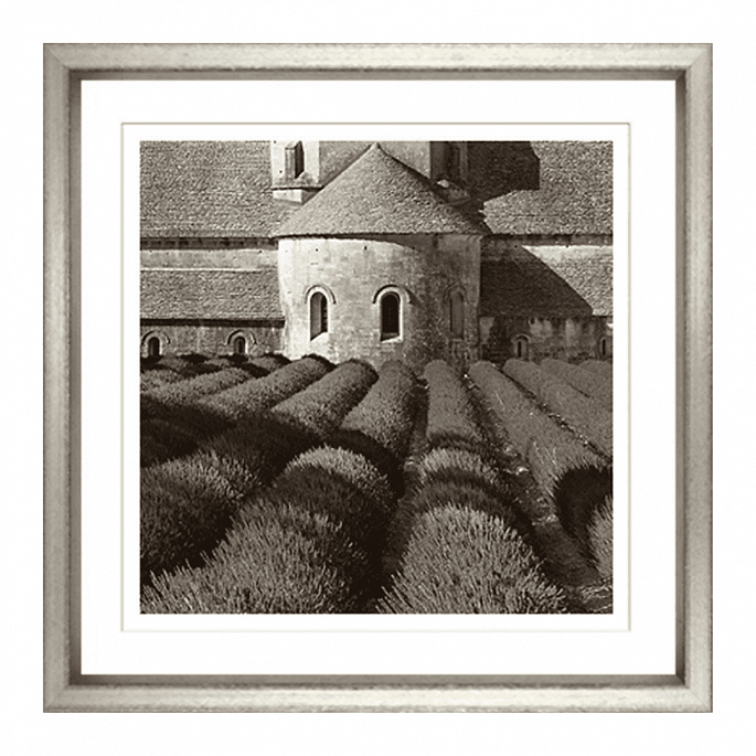 Sepia Landscape Collection V