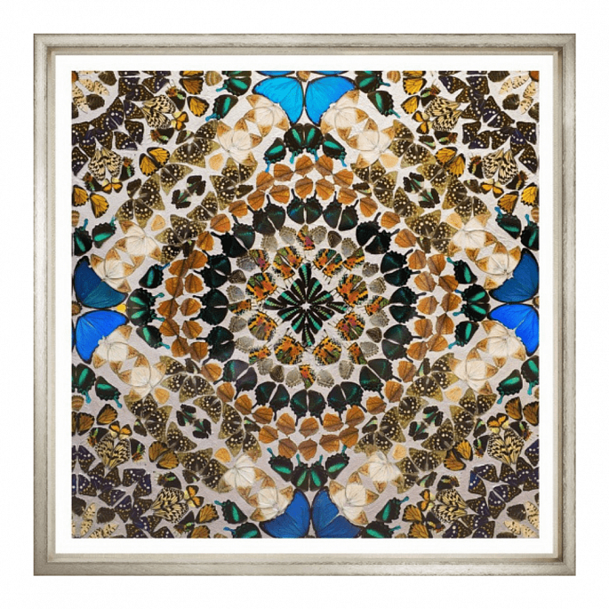 Butterfly Kaleidoskope