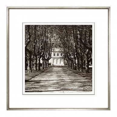Sepia Landscape Collection VI
