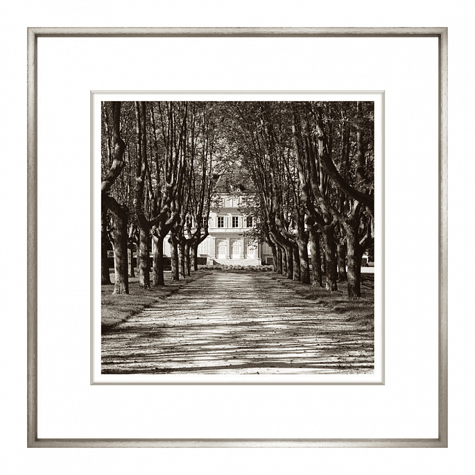 Sepia Landscape Collection VI