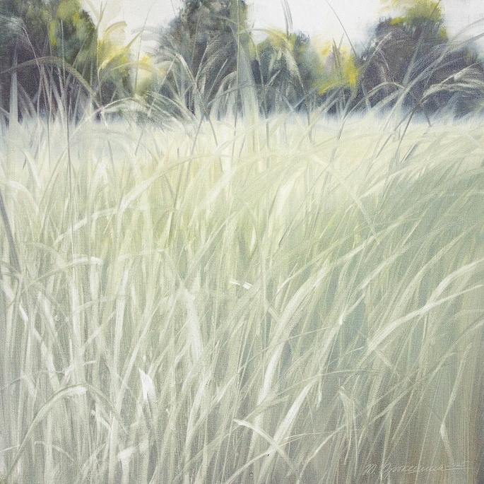 летом / in the summer