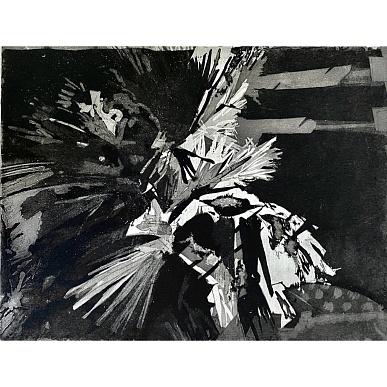 Palm (II)
