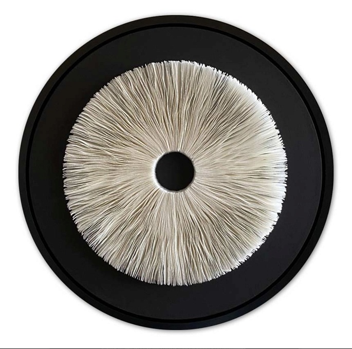 Гименофор 44