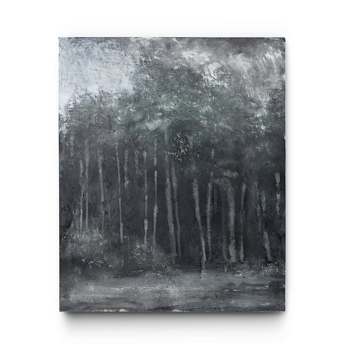 Сосновый лес