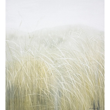  травы / herbs 260123