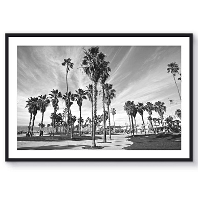 Venice Beach III