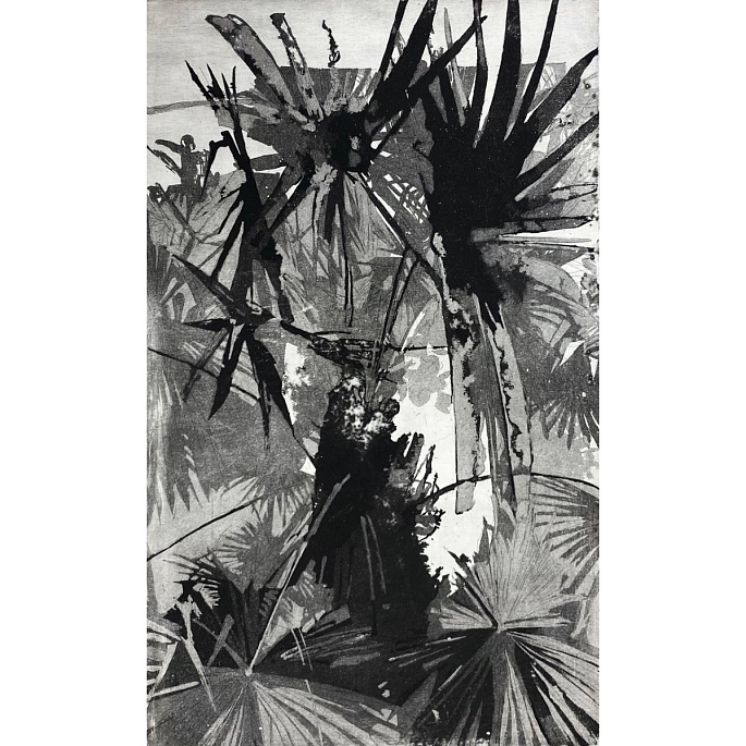Palm (I)