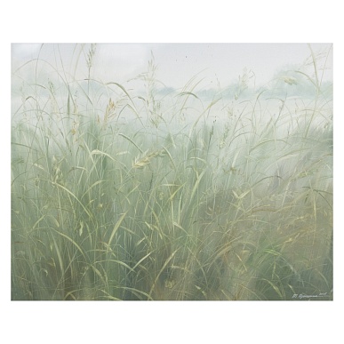 луговые травы / meadow grasses