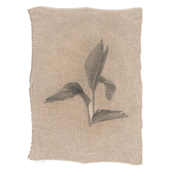 Комнатные I