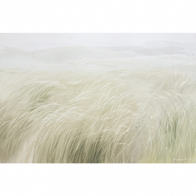 мягкий свет / soft light