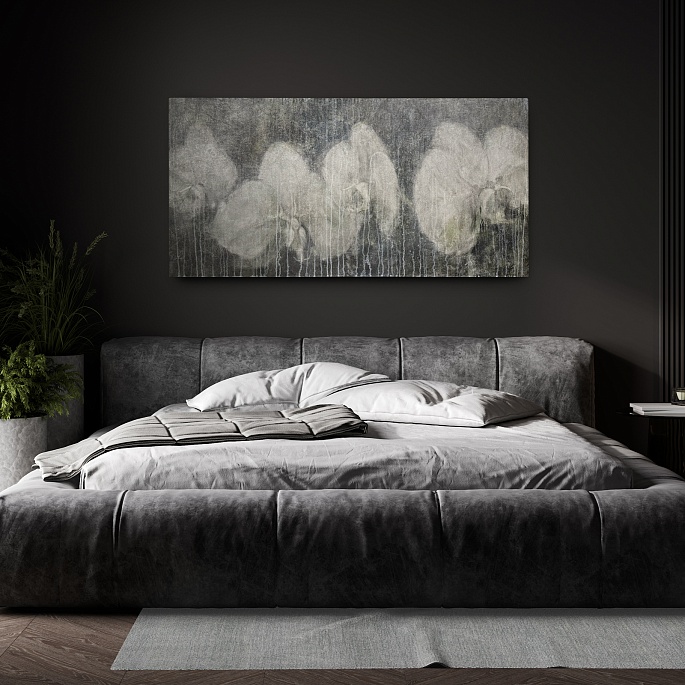 Фаленопсис