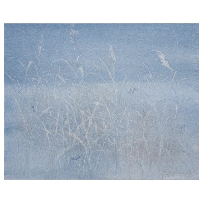 сумерки / twilight