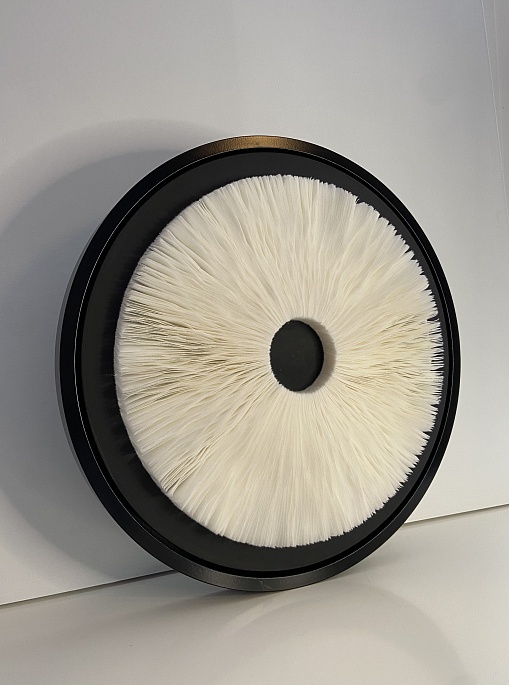 Гименофор 44